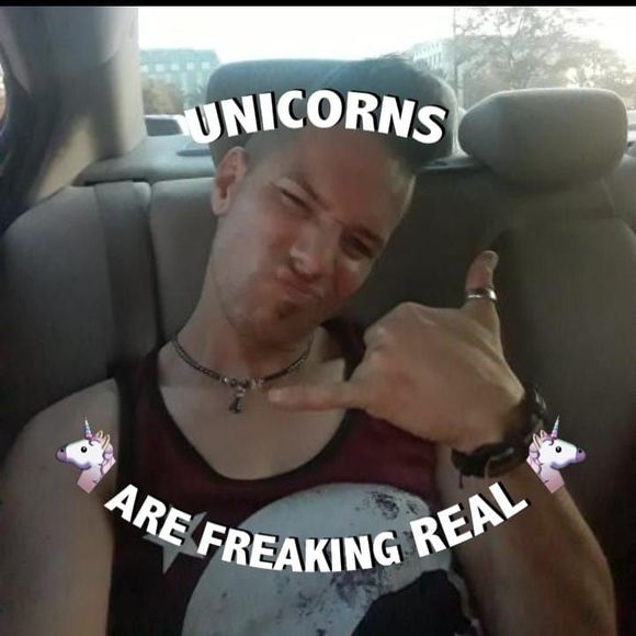 Meet your Posher, Cody - Picture 1 of 1